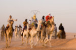 Camel racing in UAE