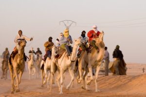 Camel race Dubai